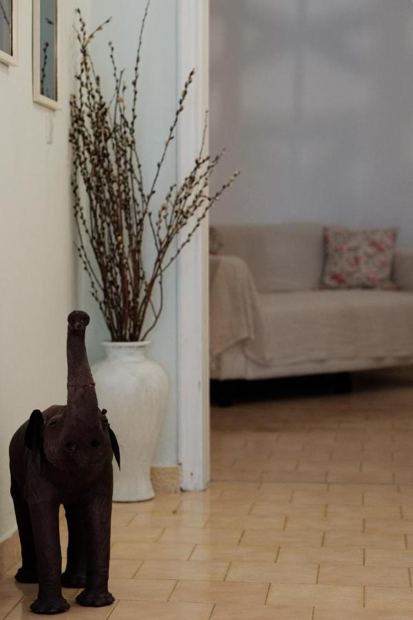 باليوكاستريتسا Eftyxia Apartments المظهر الخارجي الصورة